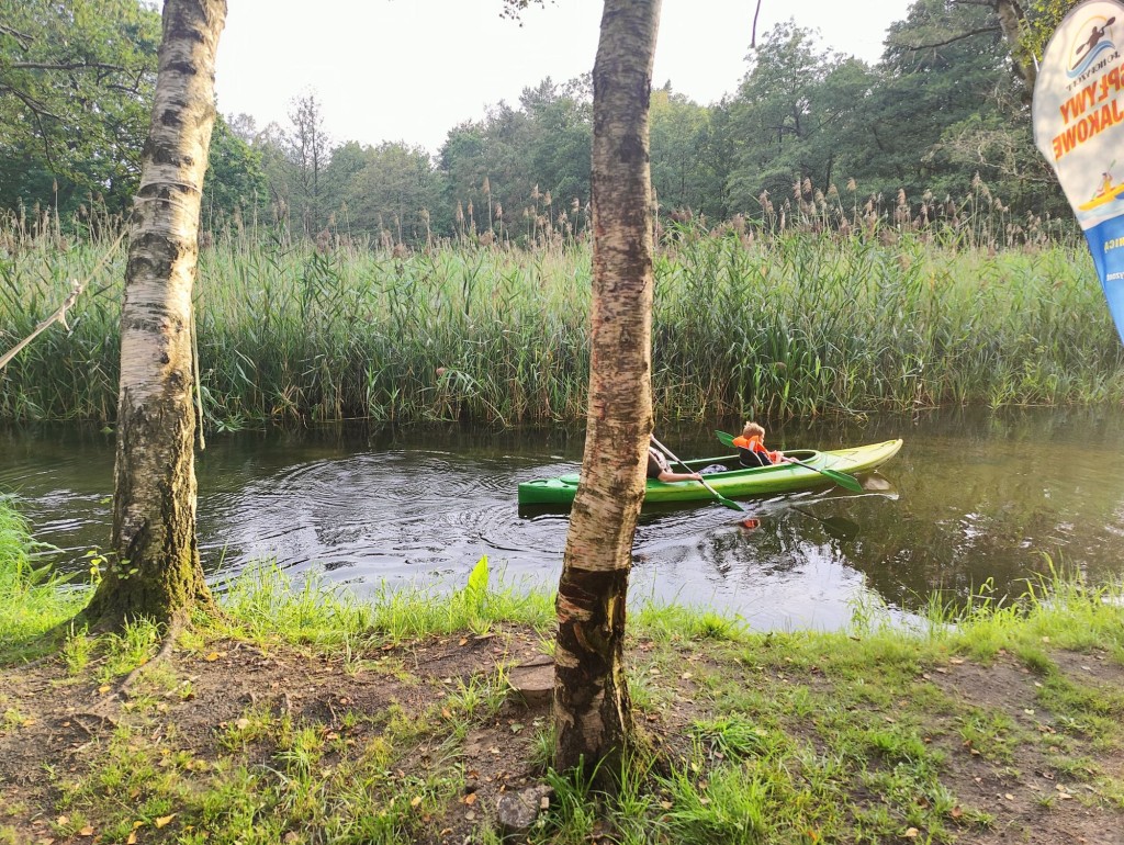 Spływ Kajakowy Piaśnicą 