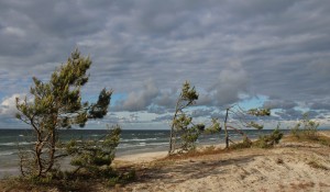 Najpiękniejsza plaża nad Bałtykiem - plaża Dębki