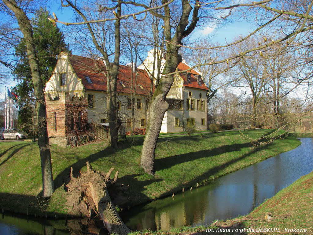 Zamek w Krokowej - niedaleko Dębek 