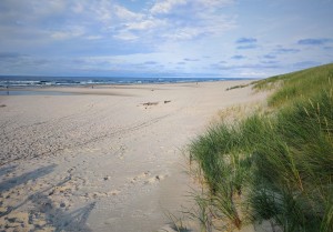 Debki - szeroka plaża