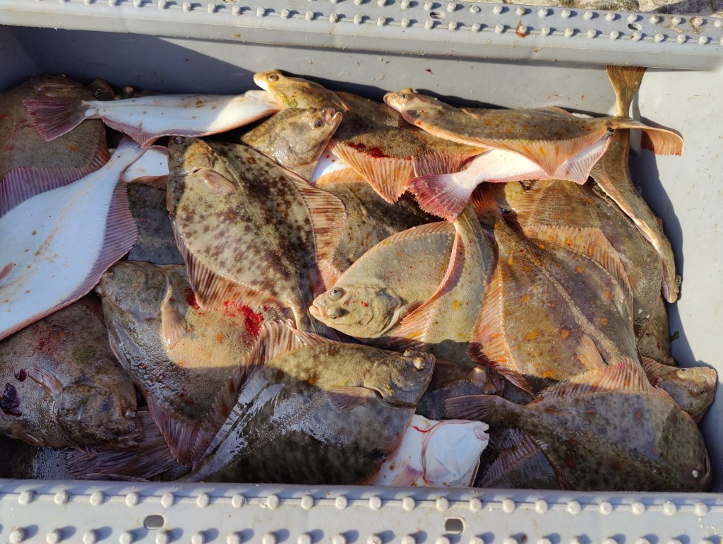 Kaszubska kuchnia w Dębkach