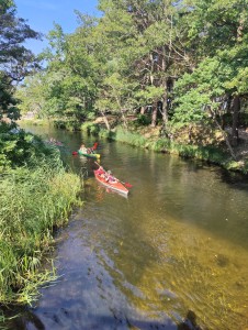 Dębki eko – plaża, którą sobie zasługuje na opiekę